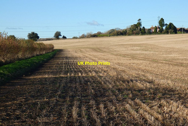 Photo 6"x4" Farmland, Crondall Crondall c2021 P1