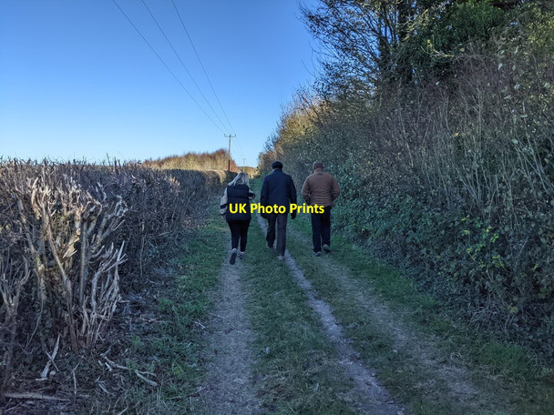 Photo 6"x4" Walkers on Oxdrove Way Bighton c2021