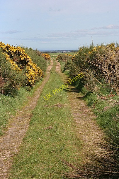 Photo 6"x4" Track to Greenburn Mountsolie c2009