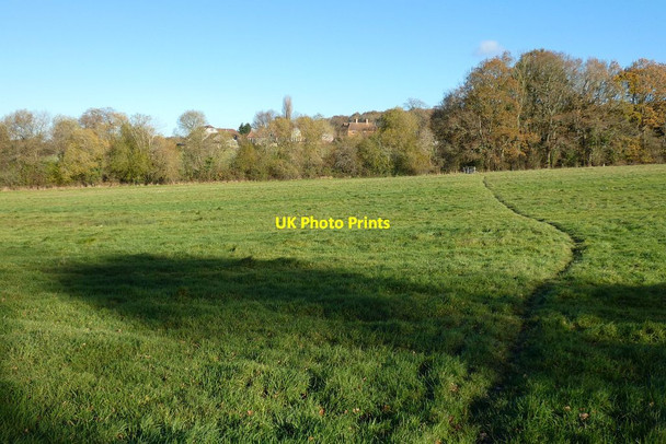 Photo 6"x4" Pasture, Crondall Bowling Alley c2021