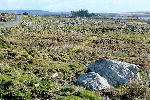 Photo 6"x4" Leitir Fir (Letterfir) Loughaunbeg c2009