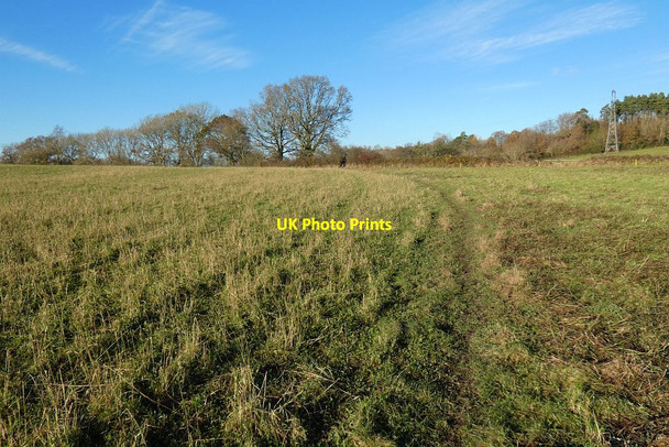 Photo 6"x4" Farmland, Crondall Dora's Green c2021