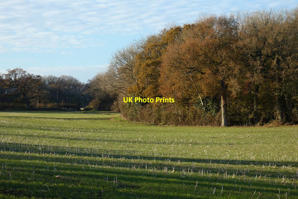Photo 6"x4" Farmland, Crondall Wimble Hill c2021