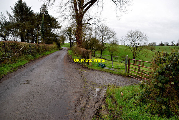 Photo 6"x4" Muddy along Rosemary Road Omagh c2021