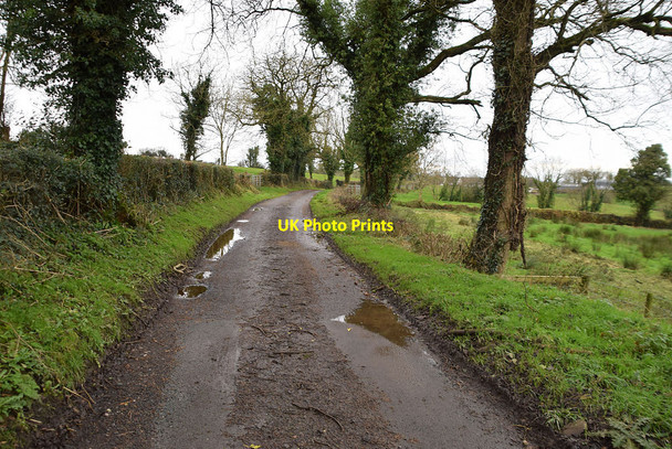 Photo 6"x4" A rough road at Deer Park (Clarke) Omagh c2021