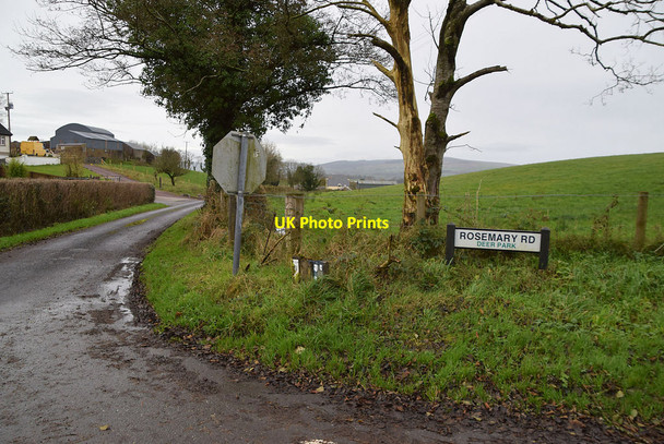 Photo 6"x4" Rosemary Road, Deer Park (Clarke) Omagh c2021