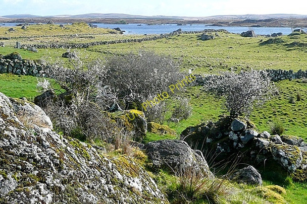 Photo 6"x4" Loch an Oile\u00c3\u00a1in Mh\u00c3\u00b3ir (Loughanillaunmore) Spiddle c2009