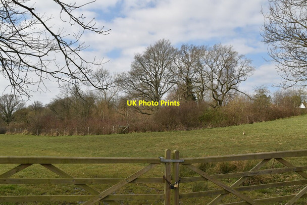 Photo 6"x4" Wooded pond Burwash c2021