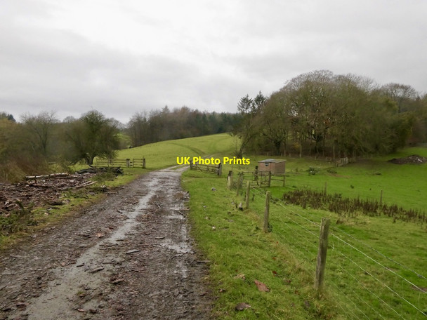 Photo 6"x4" Road behind Shipton Hall Shipton\/SO5691 c2021