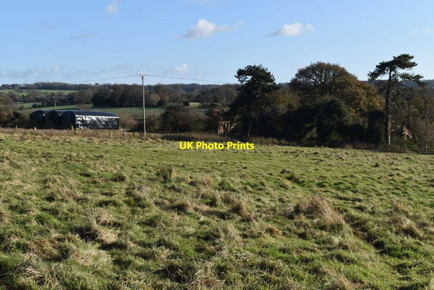 Photo 6"x4" Path across field south of Ropley Station North Street\/SU6433 c2021
