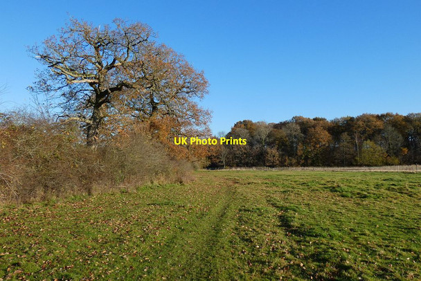 Photo 6"x4" Pasture, Old Basing Water End\/SU6953 c2021