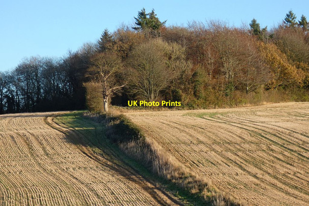 Photo 6"x4" Farmland, South Warnborough South Warnborough c2021 P2