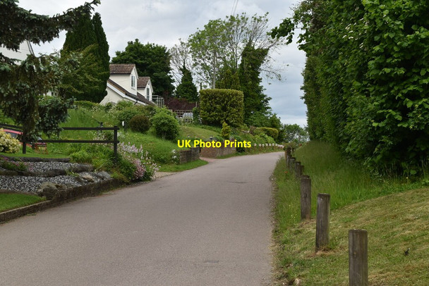 Photo 6"x4" Pedlars Lane Therfield c2021