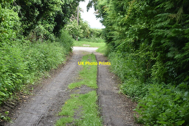 Photo 6"x4" Hertfordshire Way Therfield c2021