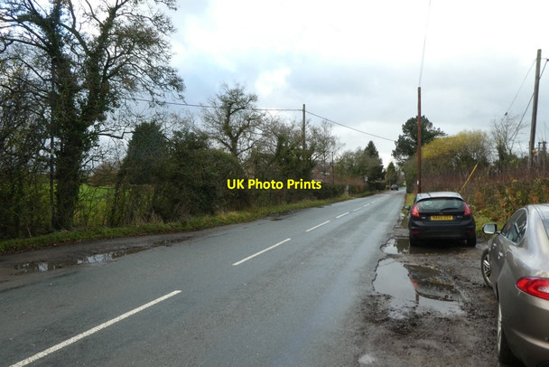 Photo 6"x4" East Lane Shipton\/SE5558 c2021