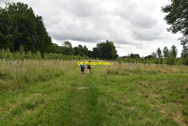 Photo 6"x4" The Chiltern Way Skirmett c2021