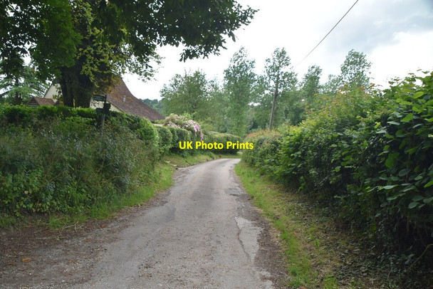 Photo 6"x4" Narrow lane Colstrope c2021