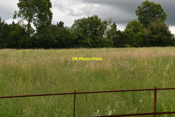 Photo 6"x4" A Chiltern Hills meadow Colstrope c2021