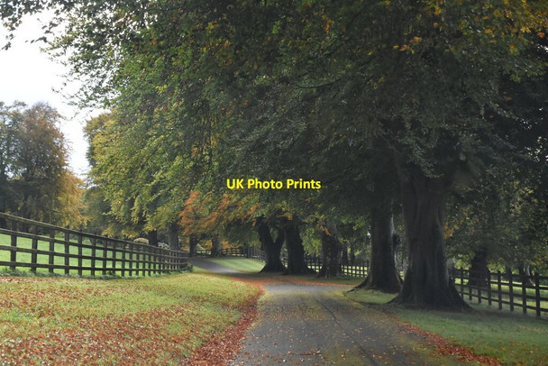 Photo 6"x4" Driveway to Monea Castle Derrygonnelly c2021