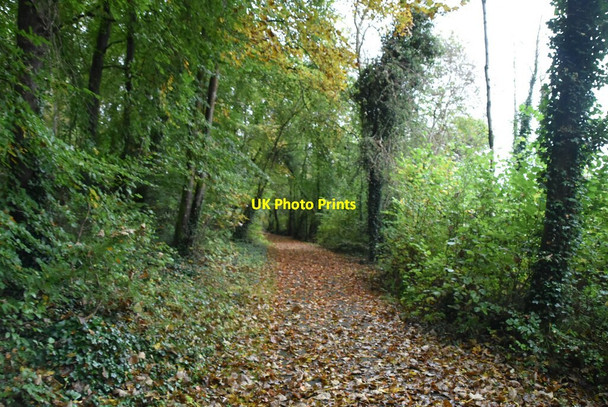 Photo 6"x4" Shoreline footpath, Lough Erne Killadeas c2021