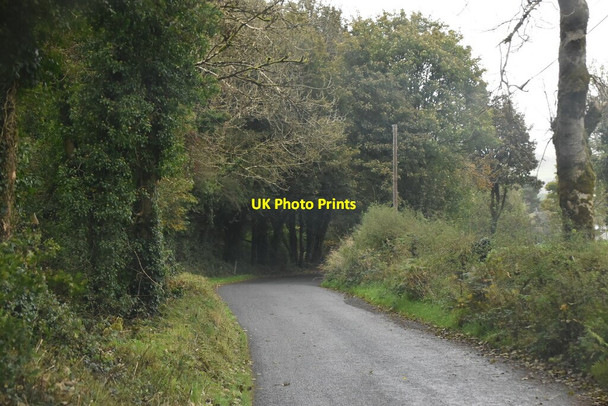 Photo 6"x4" Minor road in Cavan Blacklion c2021