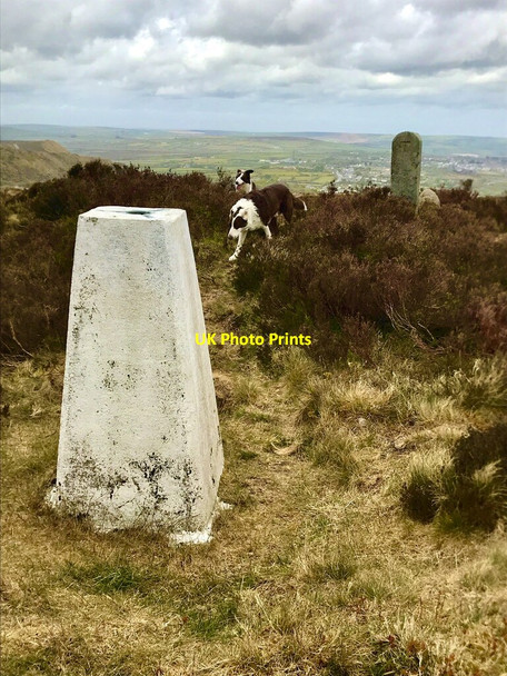 Photo 6"x4" Trig point Coldvreath c2021