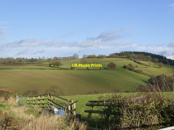 Photo 6"x4" View across Puddleston Dingle Brockmanton c2021