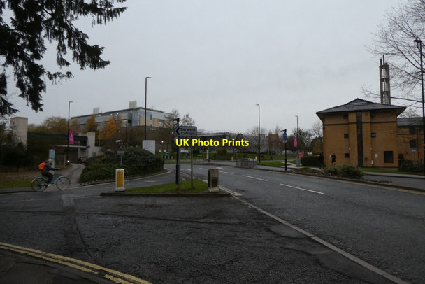 Photo 6"x4" University Road Heslington c2021