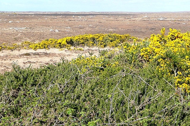 Photo 6"x4" An Lough\u00c3\u00a1n Beag (Loughaunbeg) Loughaunbeg c2009