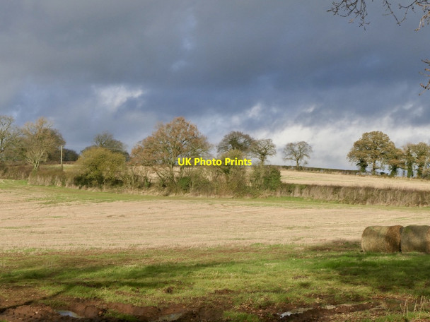 Photo 6"x4" Stubble, Hamnish Hamnish Clifford c2021