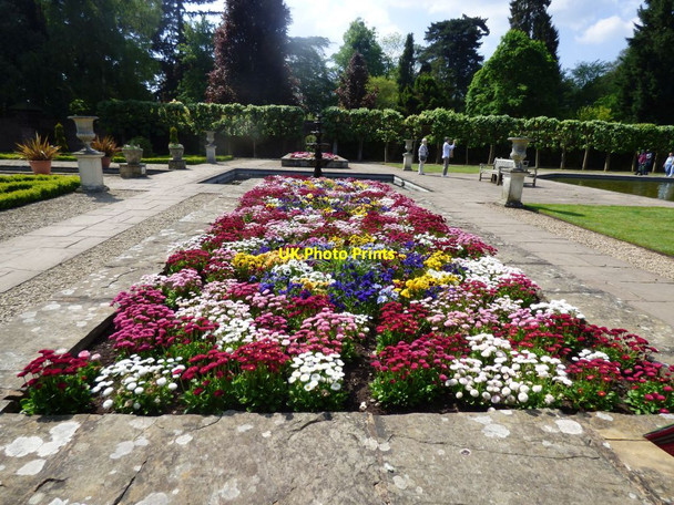 Photo 6"x4" Flowerbed in formal garden Upper Arley c2018