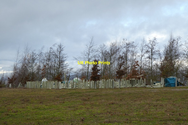 Photo 6"x4" Young trees on Kimberlow Hill Grimston\/SE6451 c2021