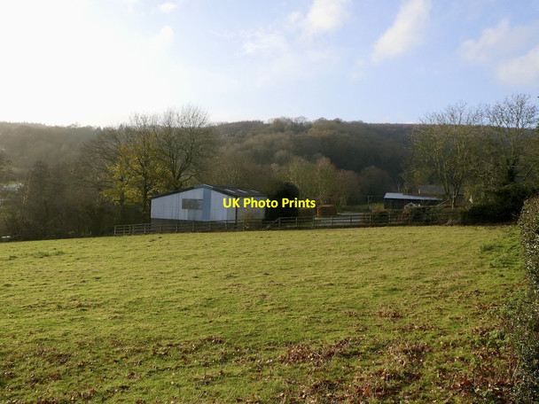 Photo 6"x4" Field, Orleton Wood Orleton Common c2021