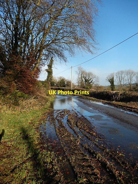 Photo 6"x4" Road Scene Kilmangah c2021