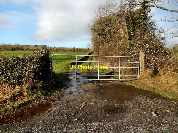 Photo 6"x4" Gated Lane Kilmangah c2021