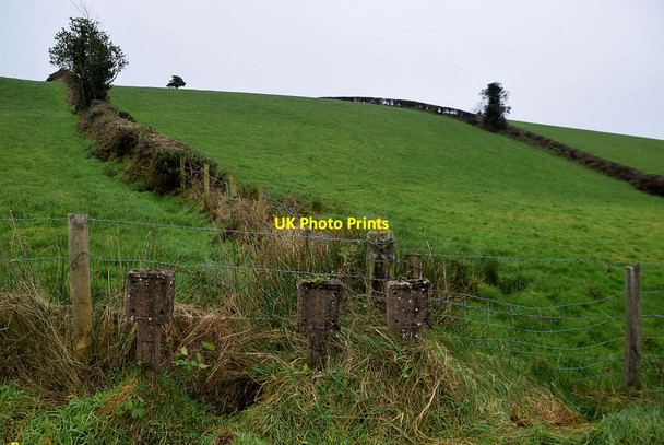 Photo 6"x4" A low hill, Fireagh (Thompson) Omagh c2021