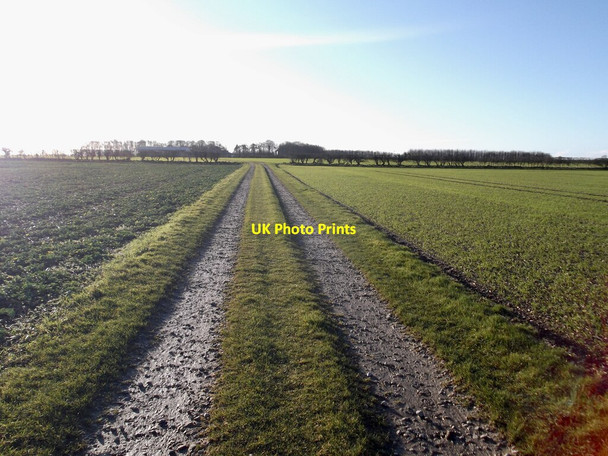 Photo 6"x4" Track to Wold House Farm Fridaythorpe c2021