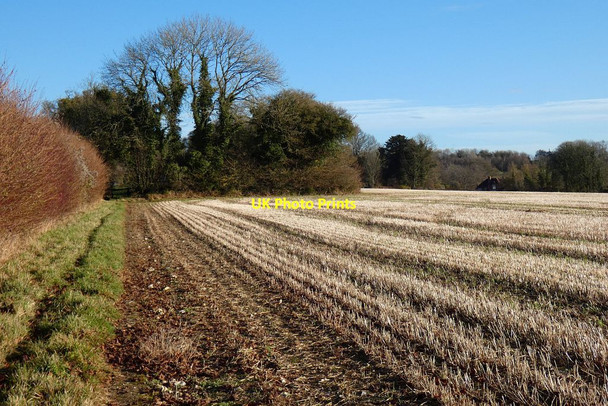 Photo 6"x4" Farmland, Shalden Alton\/SU7139 c2021
