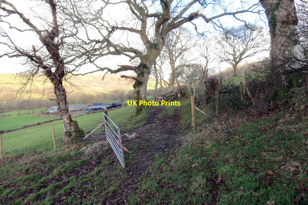 Photo 6"x4" Llwybr Ty Gwyn \/ Ty Gwyn path Llansadwrn\/SN6931 c2021