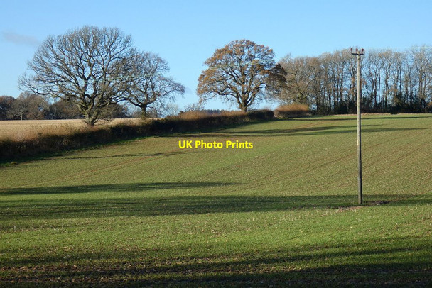 Photo 6"x4" Farmland, Herriard Herriard c2021