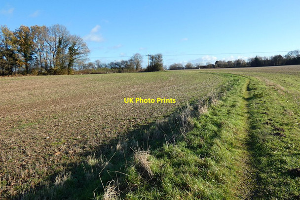 Photo 6"x4" Farmland, Herriard Bagmore\/SU6644 c2021