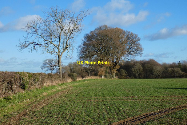 Photo 6"x4" Farmland, Herriard Southrope c2021