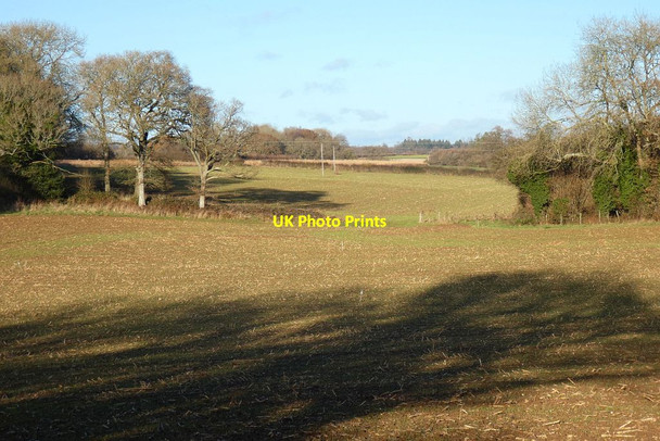 Photo 6"x4" Farmland, Herriard Bagmore\/SU6644 c2021
