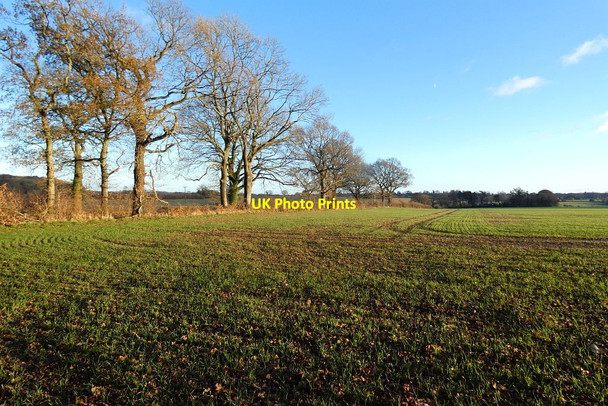 Photo 6"x4" Farmland, Bentworth Bentworth c2021