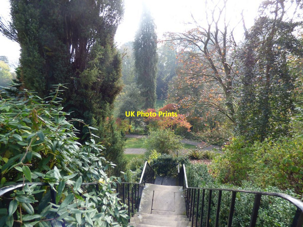 Photo 6"x4" Steps down to lower terrace Powis Castle Welshpool\/Y Trallwng c2018