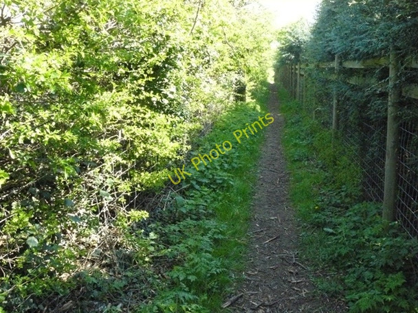 Photo 6"x4" East Leake path by the animal centre East Leake c2009