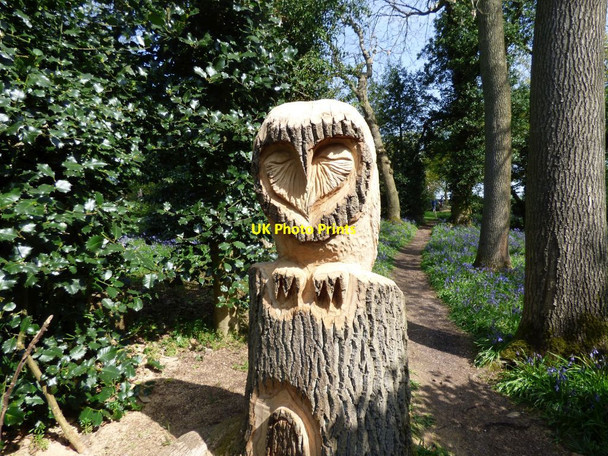 Photo 6"x4" Owl carving Aston\/SJ7541 c2019