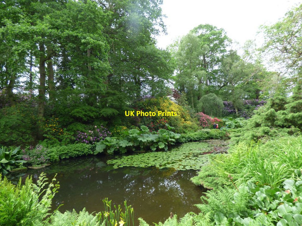 Photo 6"x4" Pool side path Hodnet c2019