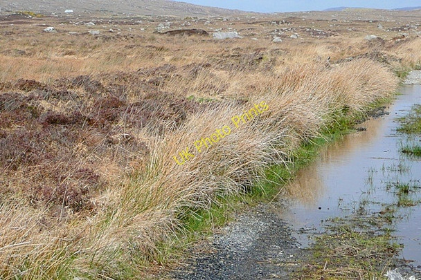 Photo 6"x4" An Cart\u00c3\u00bar Leathan (Cartronlahan) Inveran\/M0222 c2009 P1