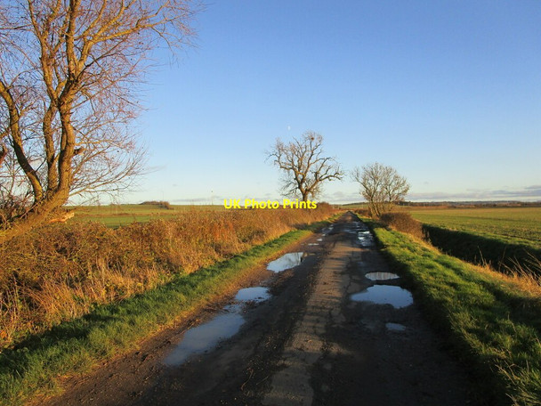 Photo 6"x4" Frickley Lane Marston\/SK8943 c2021